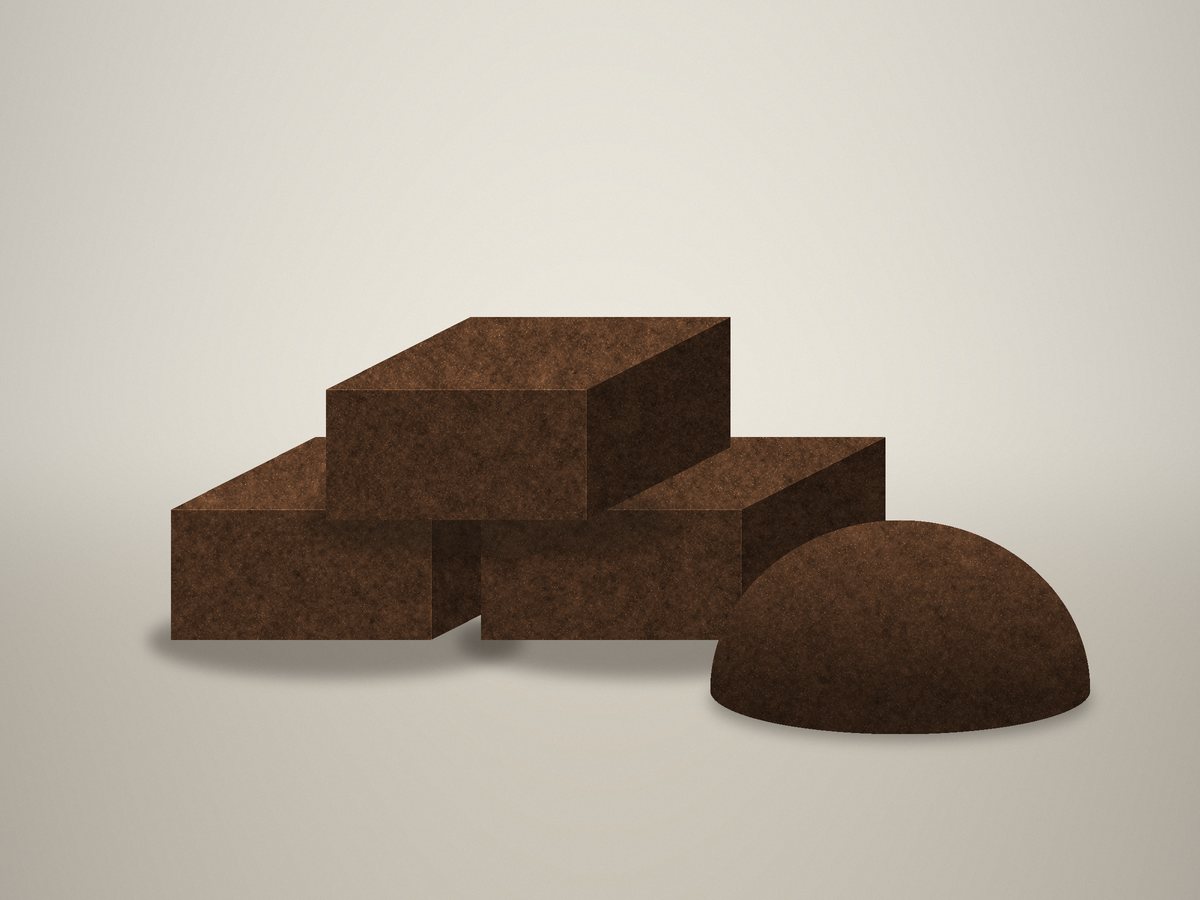 Compressed coco peat blocks beside one expanded block