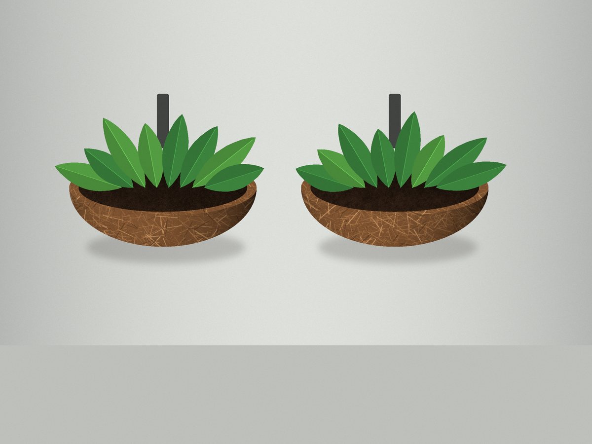 Coir wall liner with a flat-backed wall trough