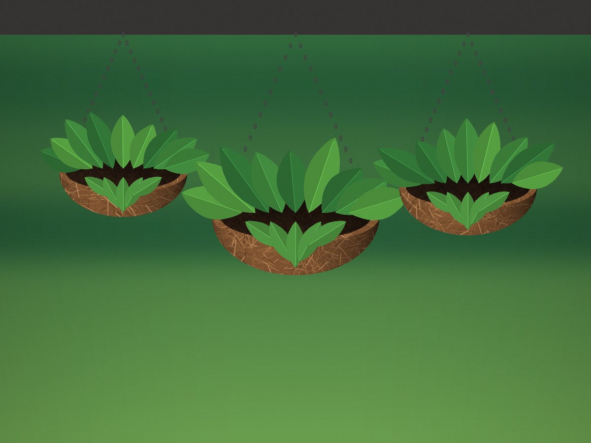 Planted hanging baskets with coir liners on display