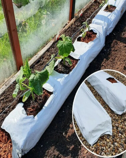Coco Peat Grow Bag