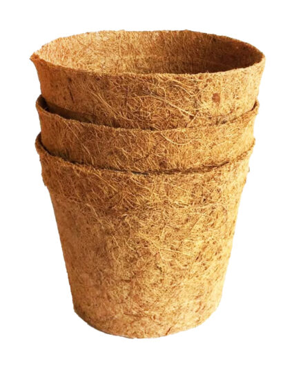 Coir Pot
