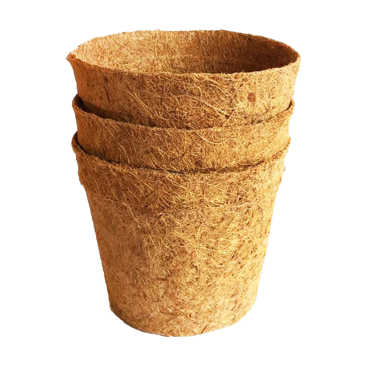Coir Pot