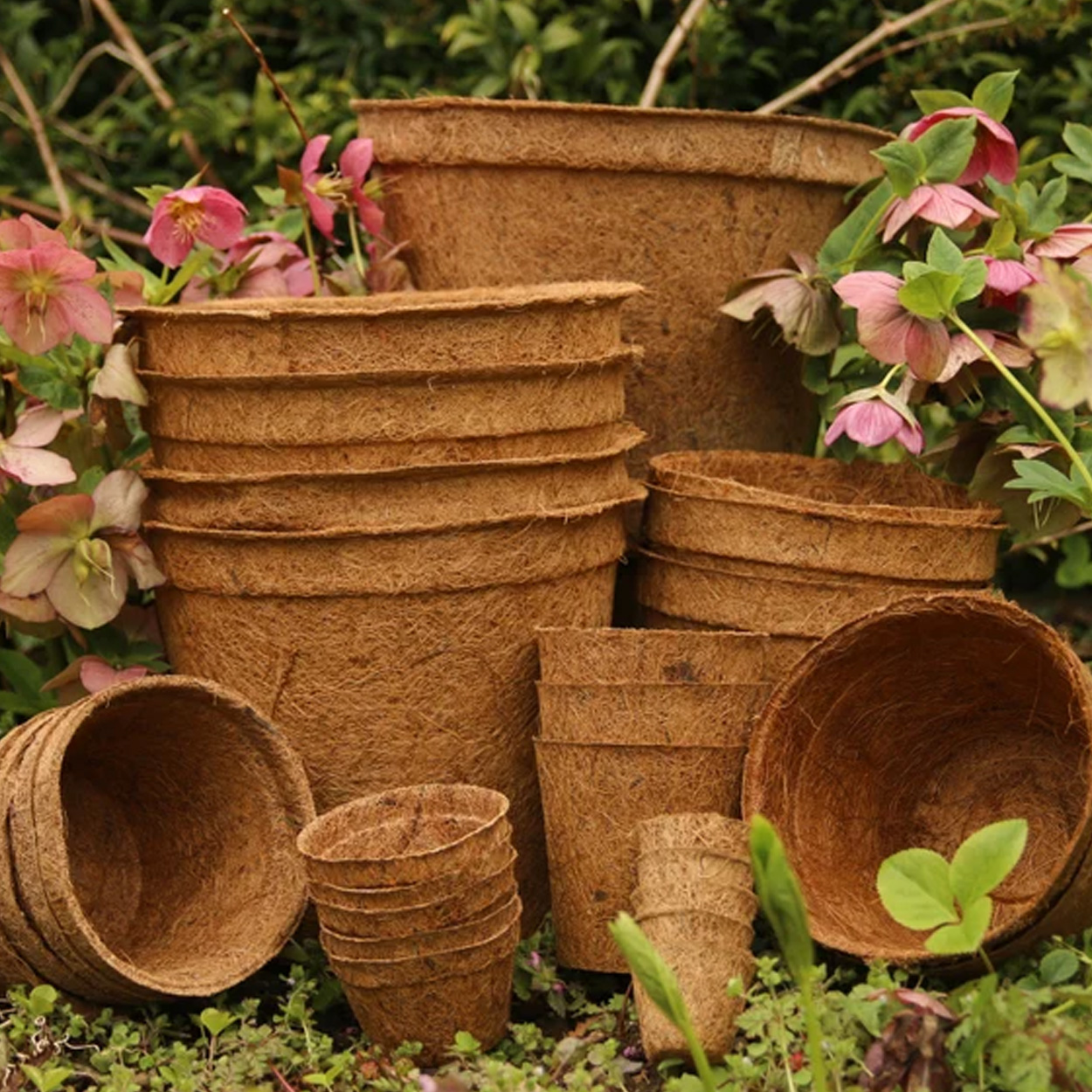 Coir Pot - Image 3
