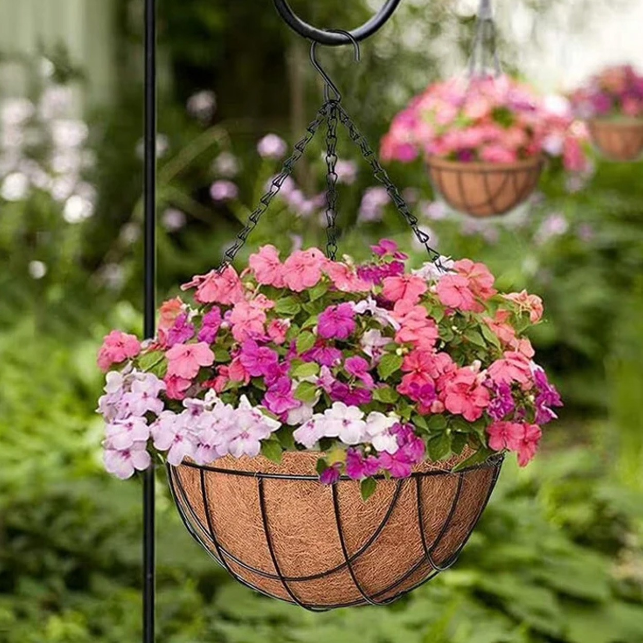 Coir Basket - Image 2