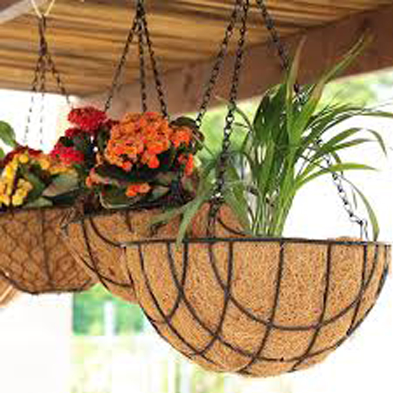 Coir Basket - Image 3
